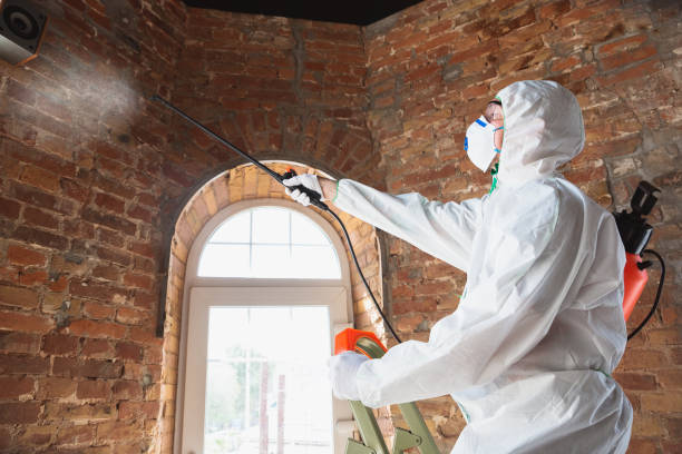  Terre Du Lac, MO Mold Removal & Remediation Pros